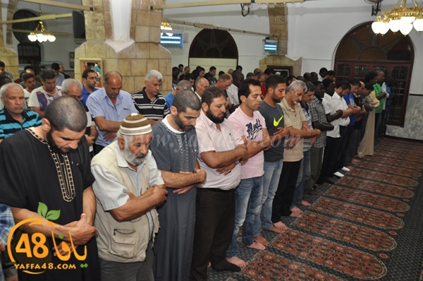 7san bek jsh (6).JPG